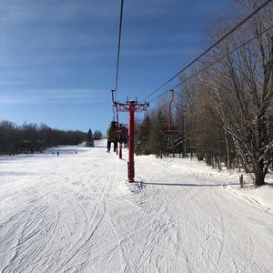 Meet your Posher, Tara